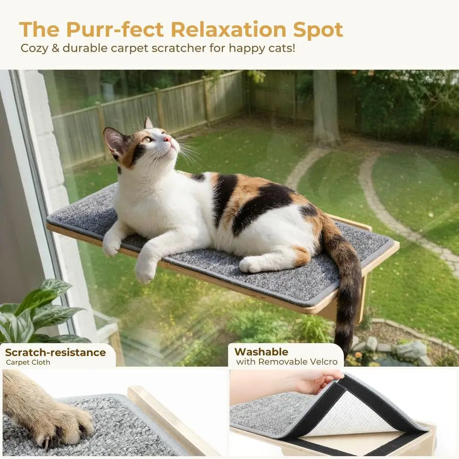 Birch Solid Wood Cat Window Perch And Wall Shelf Hammock With Strong Suction