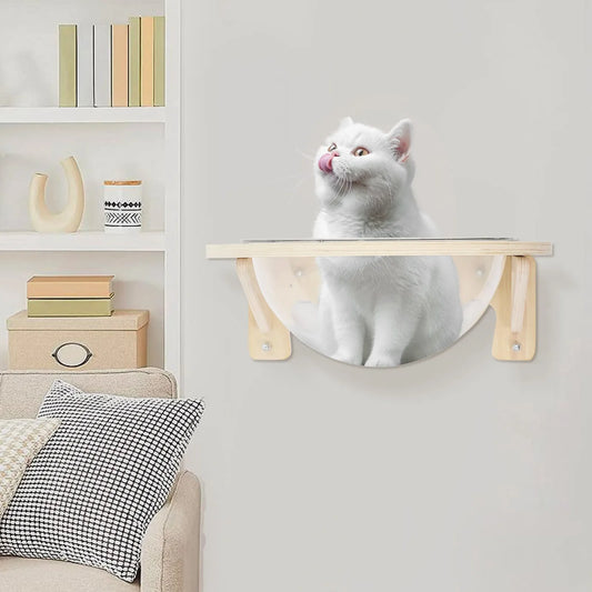 NONECN Clear Cat House Wall Mounted Perch for Cats