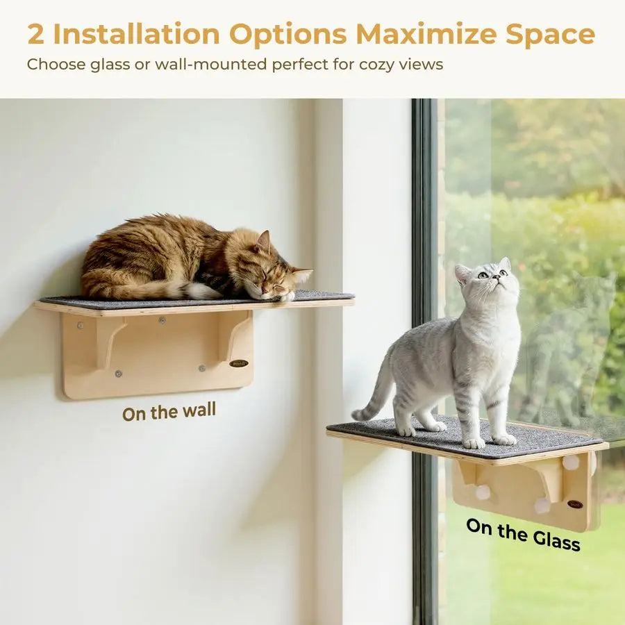 Birch Solid Wood Cat Window Perch And Wall Shelf Hammock With Strong Suction