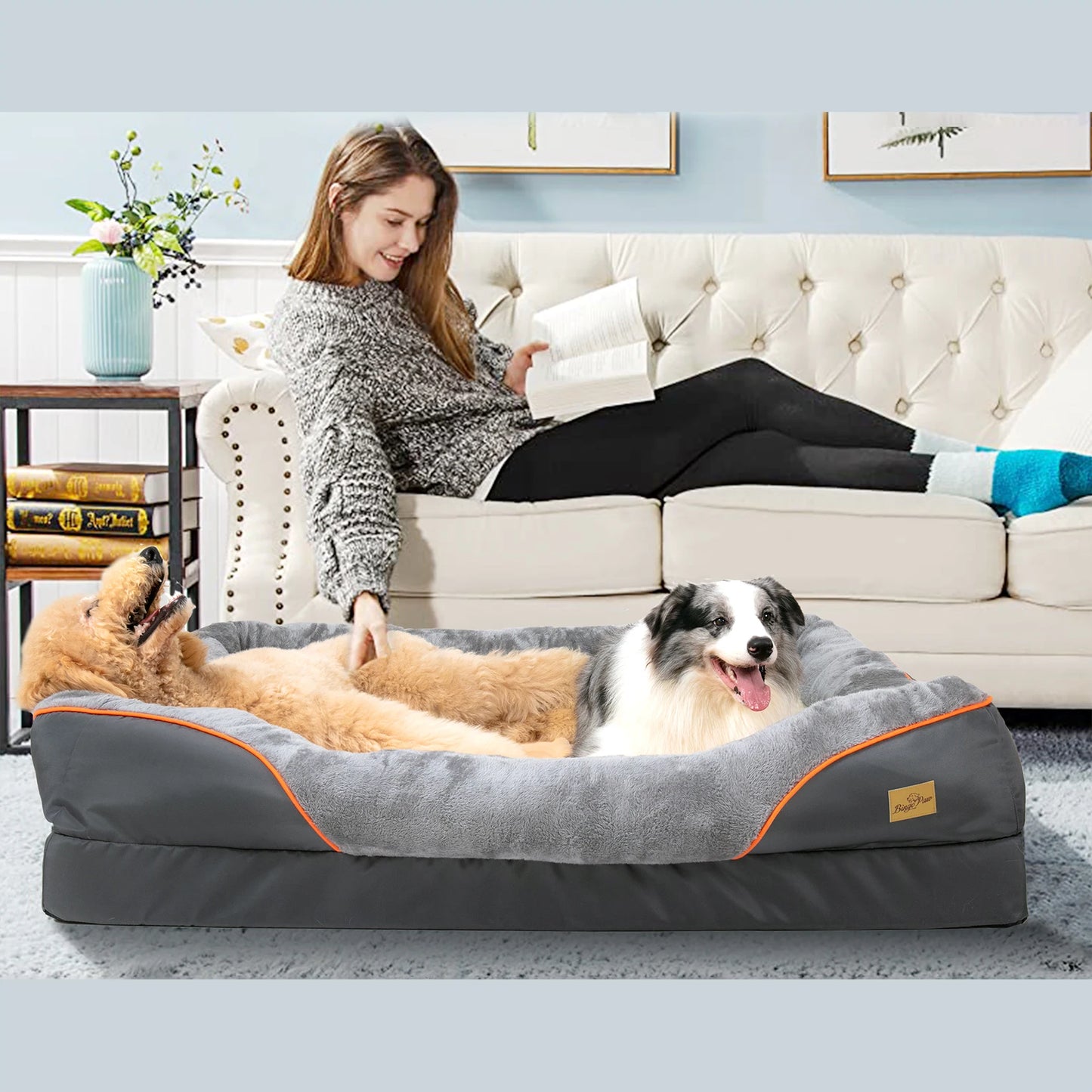 BINGOPAWCN Dog Bed With Removable Washable Cover Waterproof Anti Allergy