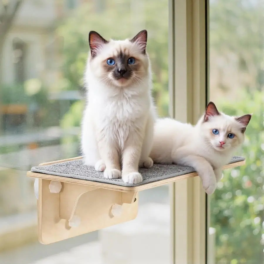 Birch Solid Wood Cat Window Perch And Wall Shelf Hammock With Strong Suction
