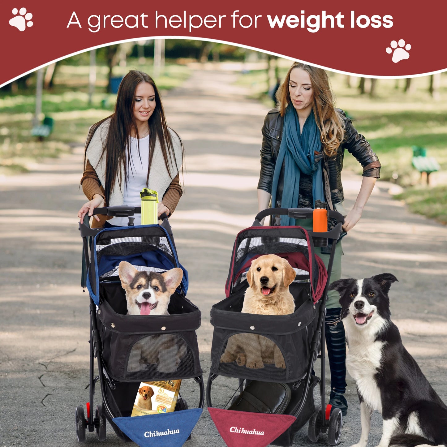 Chihuahua Pet Stroller Three Wheel Foldable Breathable Mesh