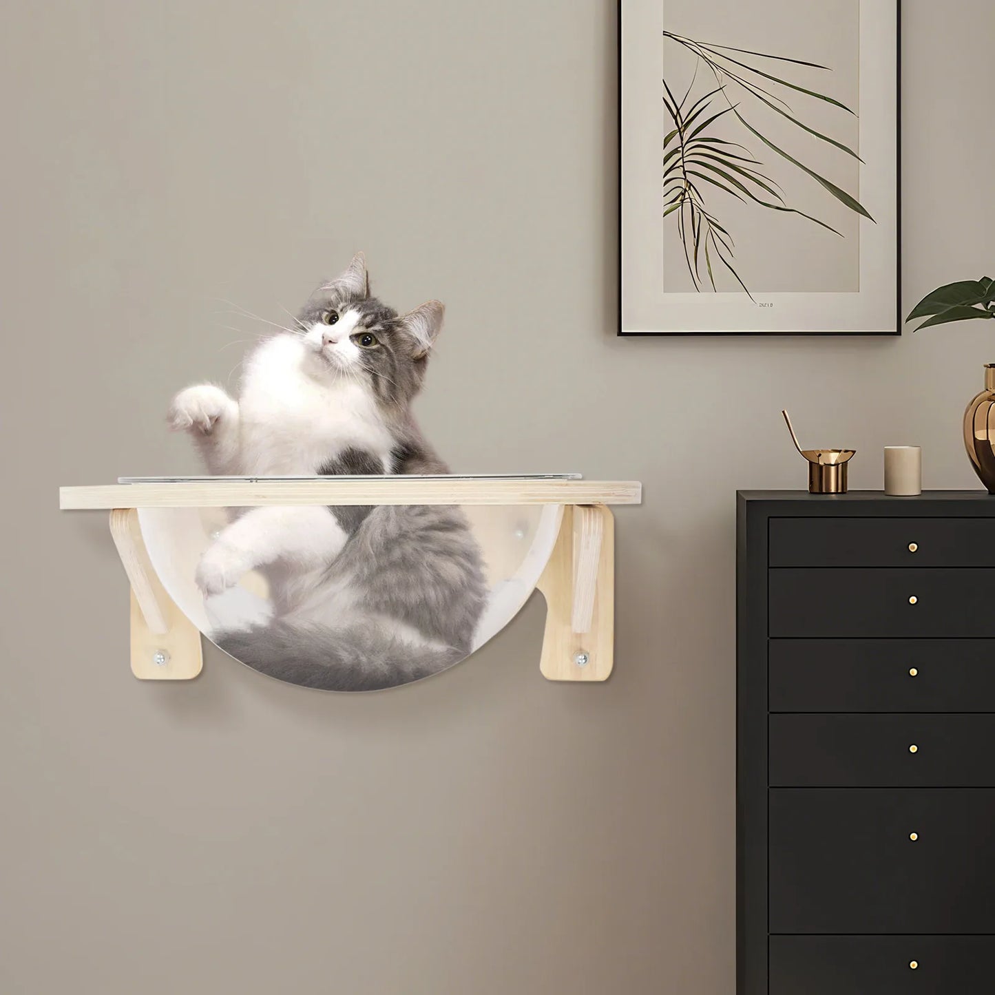 NONECN Clear Cat House Wall Mounted Perch for Cats