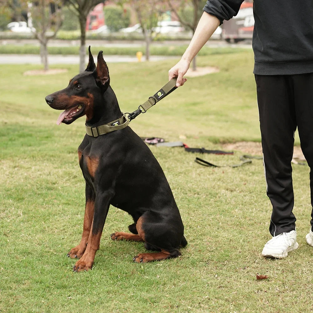 Short Nylon Dog Leash With Padded Handle Reflective Traffic Training