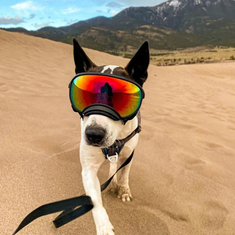 PETRAVEL Dog Goggles Anti UV Windproof Sunglasses Protection
