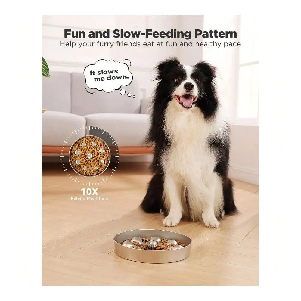 Feeder Dog Bowls Stainless Steel NonSlip Metal Bowl For Slow Feeding, 5 Cups Large Capacity, DoubleSided Design For Dry, Wet, O