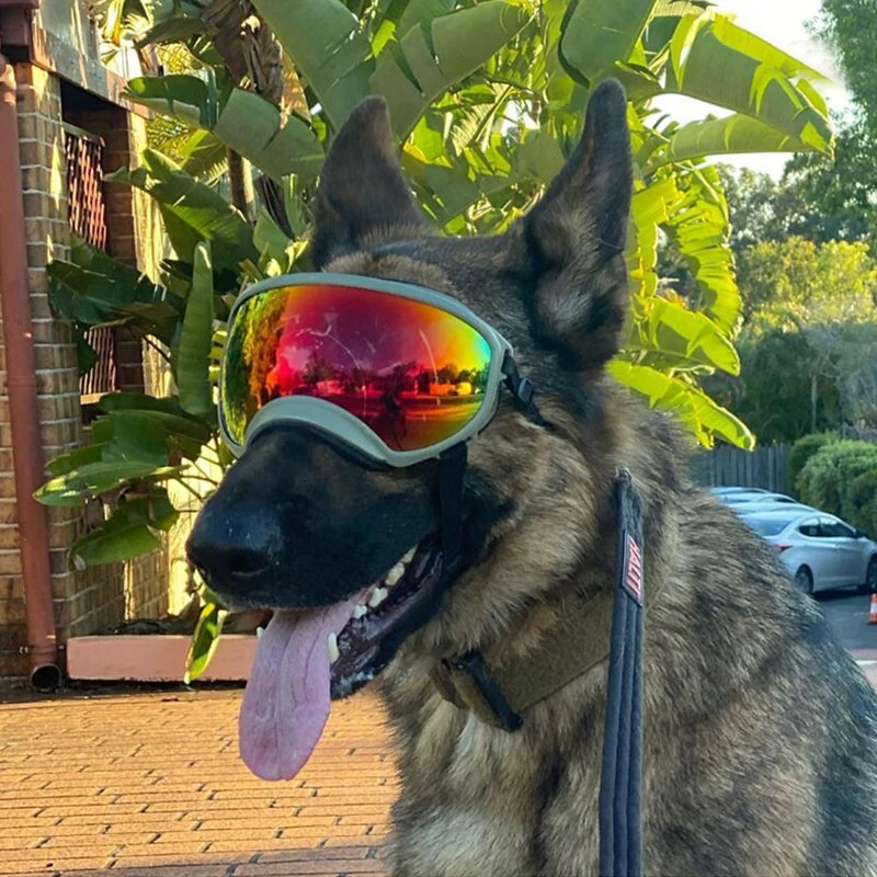 PETRAVEL Dog Goggles Anti UV Windproof Sunglasses Protection