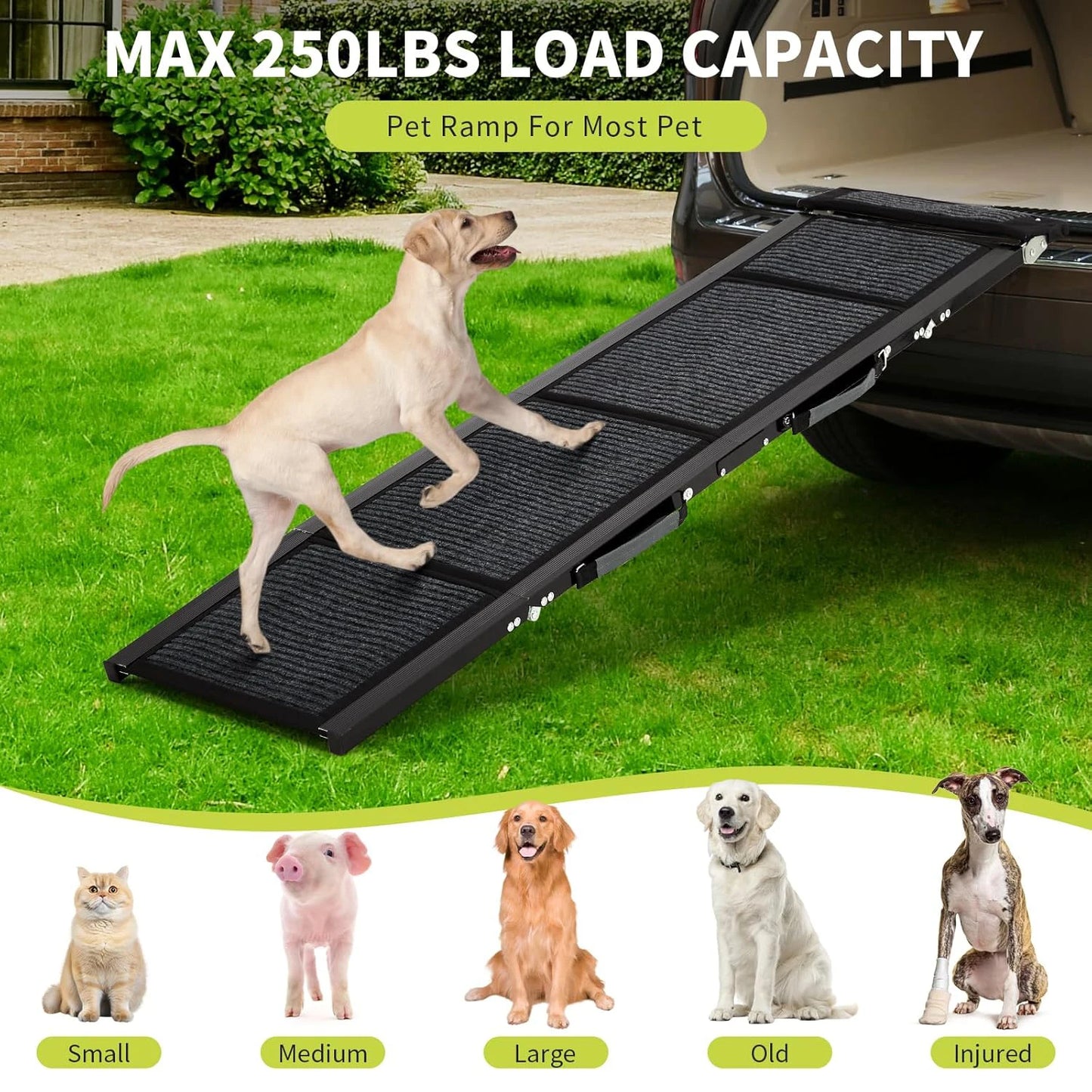 HiMISSDog Door Upgraded Car Dog Ramp With Non Slip Surface