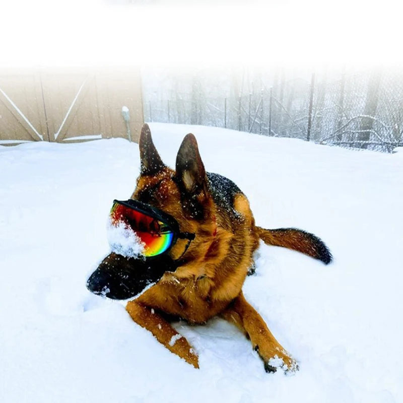 PETRAVEL Dog Goggles Anti UV Windproof Sunglasses Protection