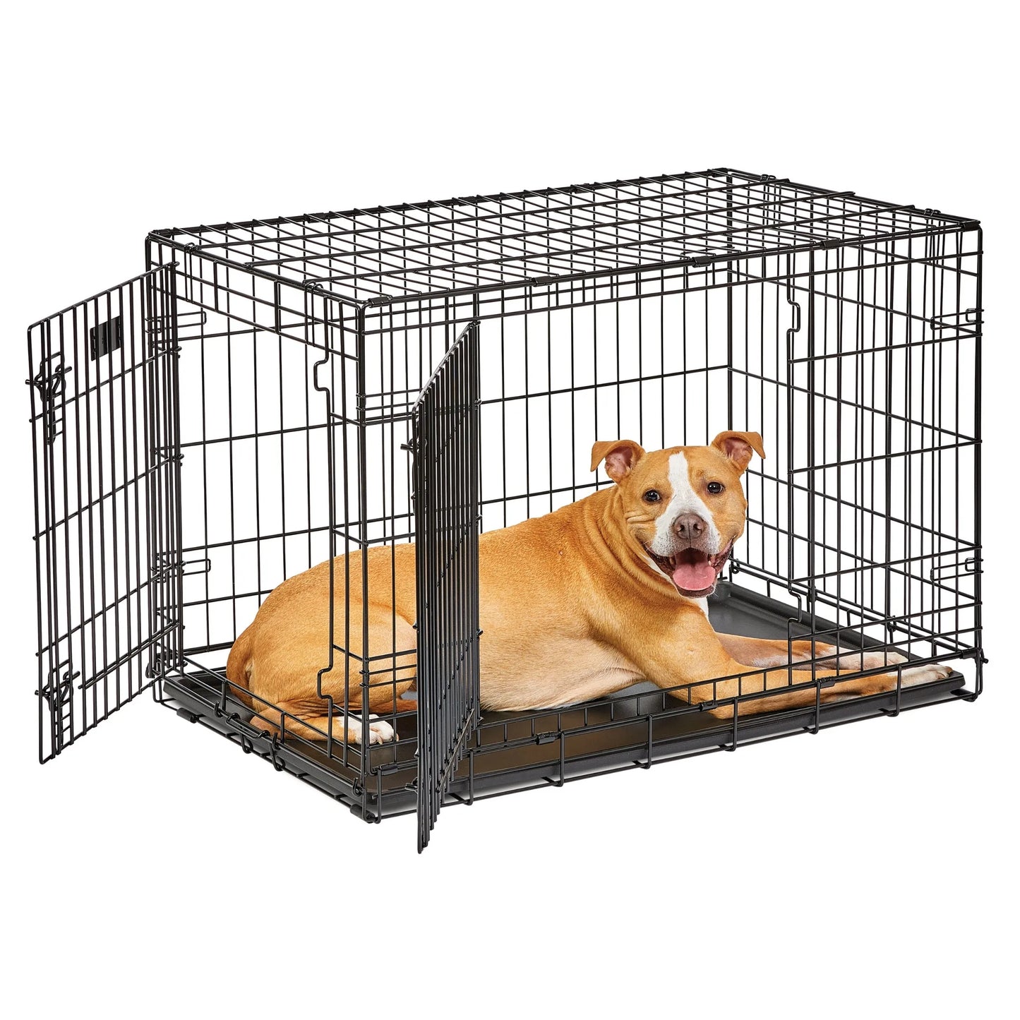 Homes for Pets LifeStages 36 Inch Double Door Folding Dog Crate with Divider Panel and Dog Pan