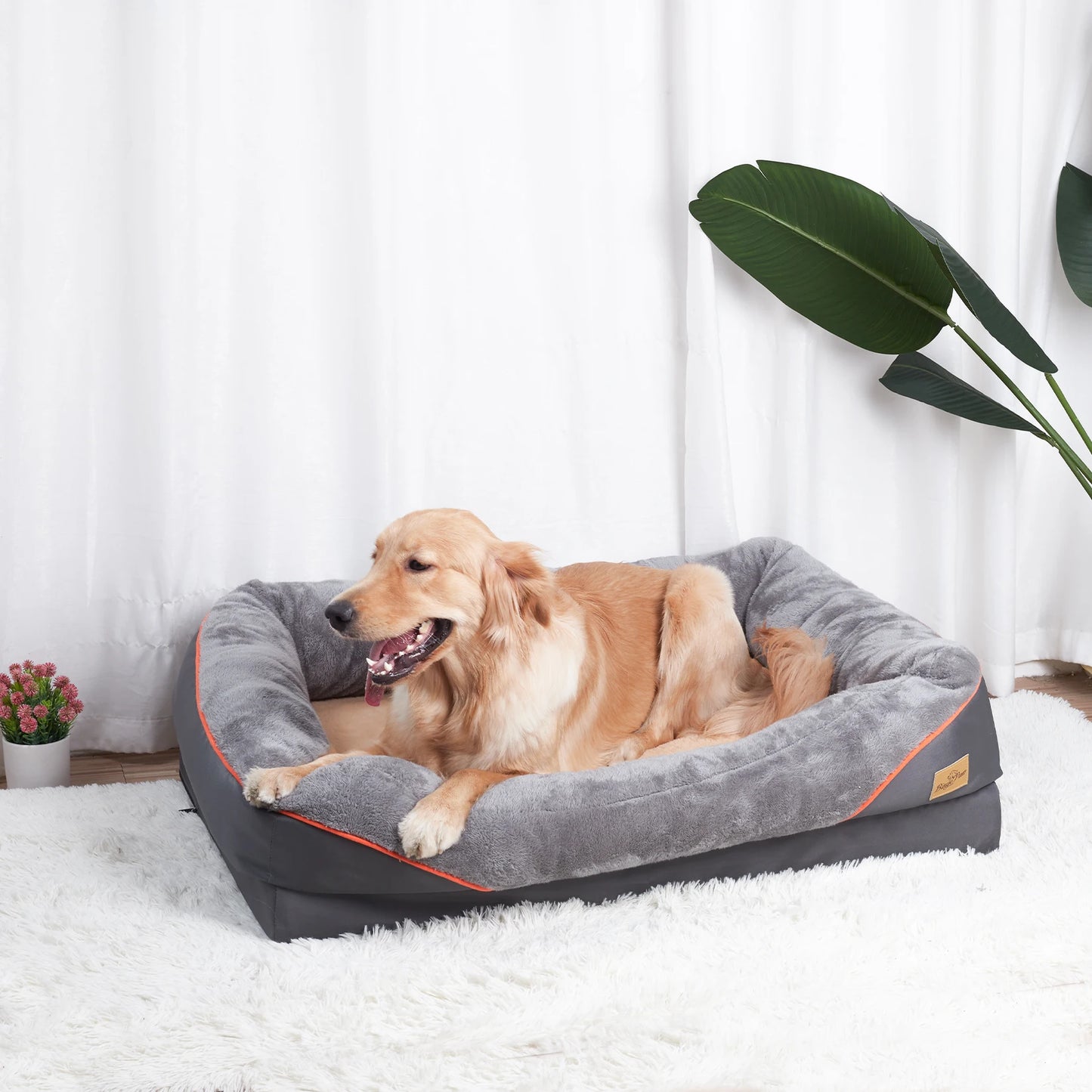 BINGOPAWCN Dog Bed With Removable Washable Cover Waterproof Anti Allergy