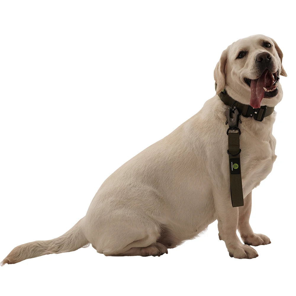 Short Nylon Dog Leash With Padded Handle Reflective Traffic Training