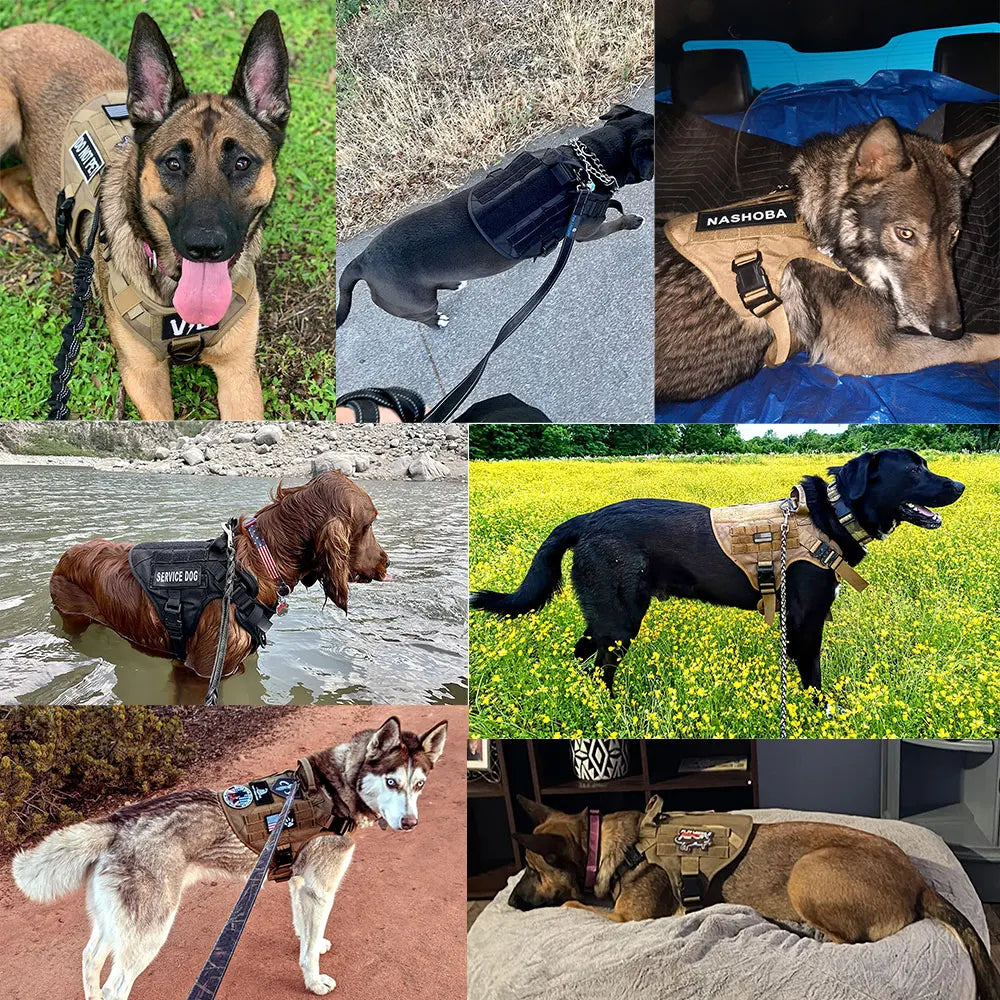 PETRAVELCN Tactical Dog Harness Leash Set No Pull Durable