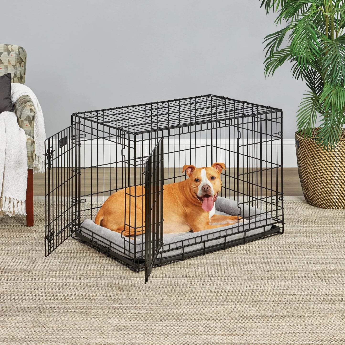 Homes for Pets LifeStages 36 Inch Double Door Folding Dog Crate with Divider Panel and Dog Pan